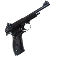 margolin - z tej broni postrzelasz na strzelnicy w Płocku